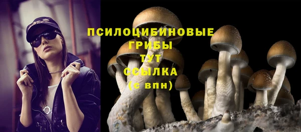 амфетамин Козловка