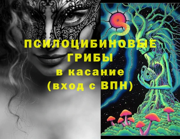 ГАЛЛЮЦИНОГЕННЫЕ ГРИБЫ Козельск
