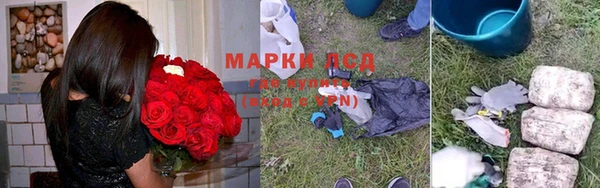 ГАЛЛЮЦИНОГЕННЫЕ ГРИБЫ Козельск