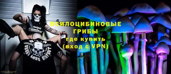 ГАЛЛЮЦИНОГЕННЫЕ ГРИБЫ Козельск